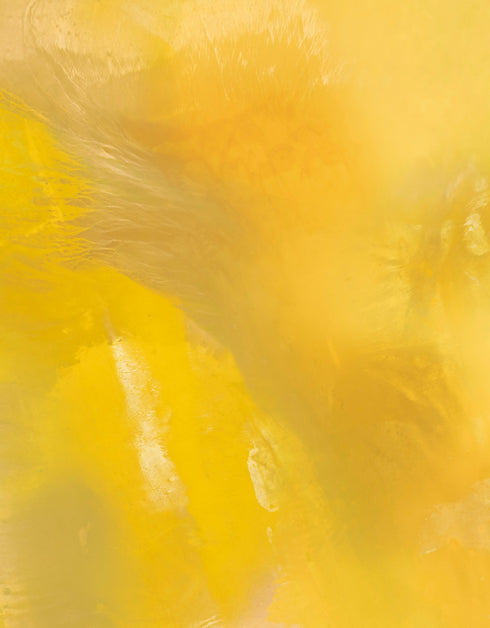 Screaming Yellow Zonker | Framed Giclee Print on Canvas
